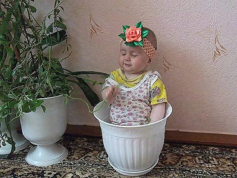 Sevi baby горшок chair potty. девочка на горшке. ребенок сидит на горшке. горшок лягушка фишер. горшок baby potty машинка.