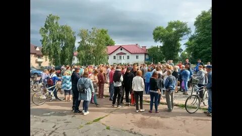 Белая полоска белая березка
