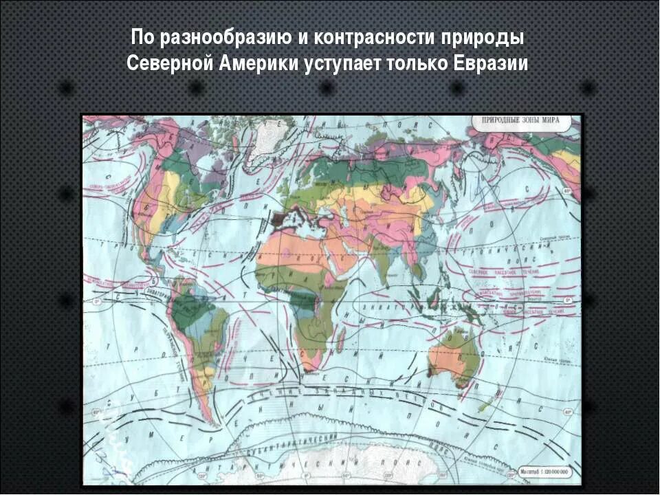 Зоны природы Северной Америки презентация. По масштабу карта природных зон. Разнообразие природы Северной Америки 7 класс. Северная Америка природные зоны по масштабу.