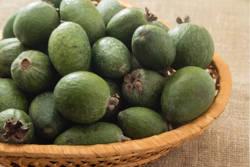 зелёный фрукт круглый маленький. круглый зеленый овощ. алыча грузинская зеленая. лайм фрукт. как называется маленький зеленый.