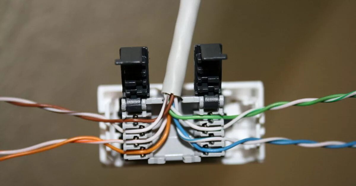 Ne connect. Обжим розетки RJ-45 Legrand. Сетевые розетки rj45 Schneider. Розетка rj45 ip66. Монтаж розетки RJ-45 Шнайдер.