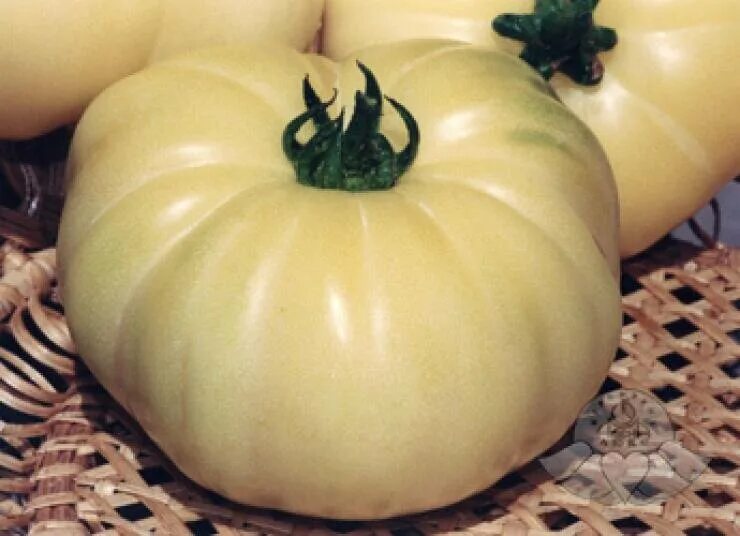 Белые помидоры сорта. Томат микадо. Томат пломбир белый. Томат большой пломбир. Томат джек.