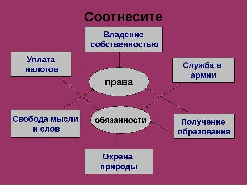 Собственность кластер. Кластер право. кластер на тему право. кластер на тему обязанности человека.