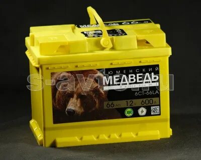 Медведь 66 артемовский
