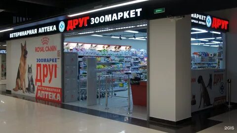 Верный друг владивосток