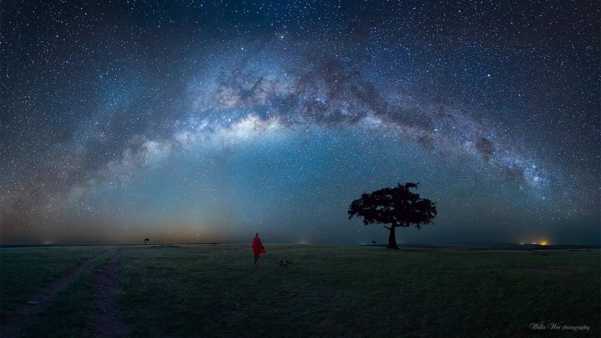 Above the stars in the field