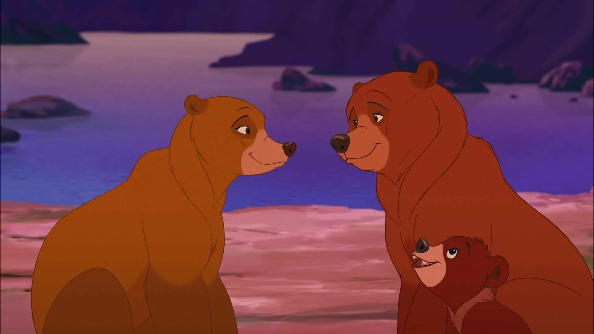 Bear 2 go
