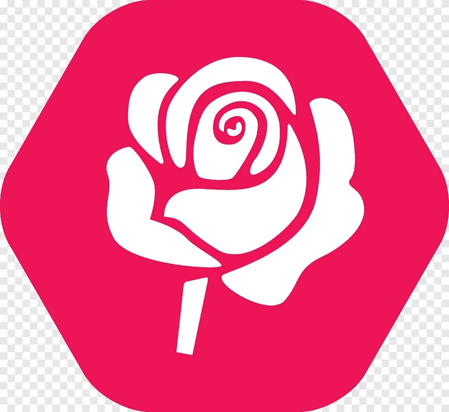 Rose icons