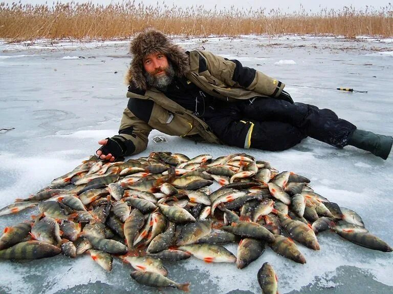 Ловить много рыбы. Рыбалка зимой. Крупный улов. Много рыбы. "Большой улов".