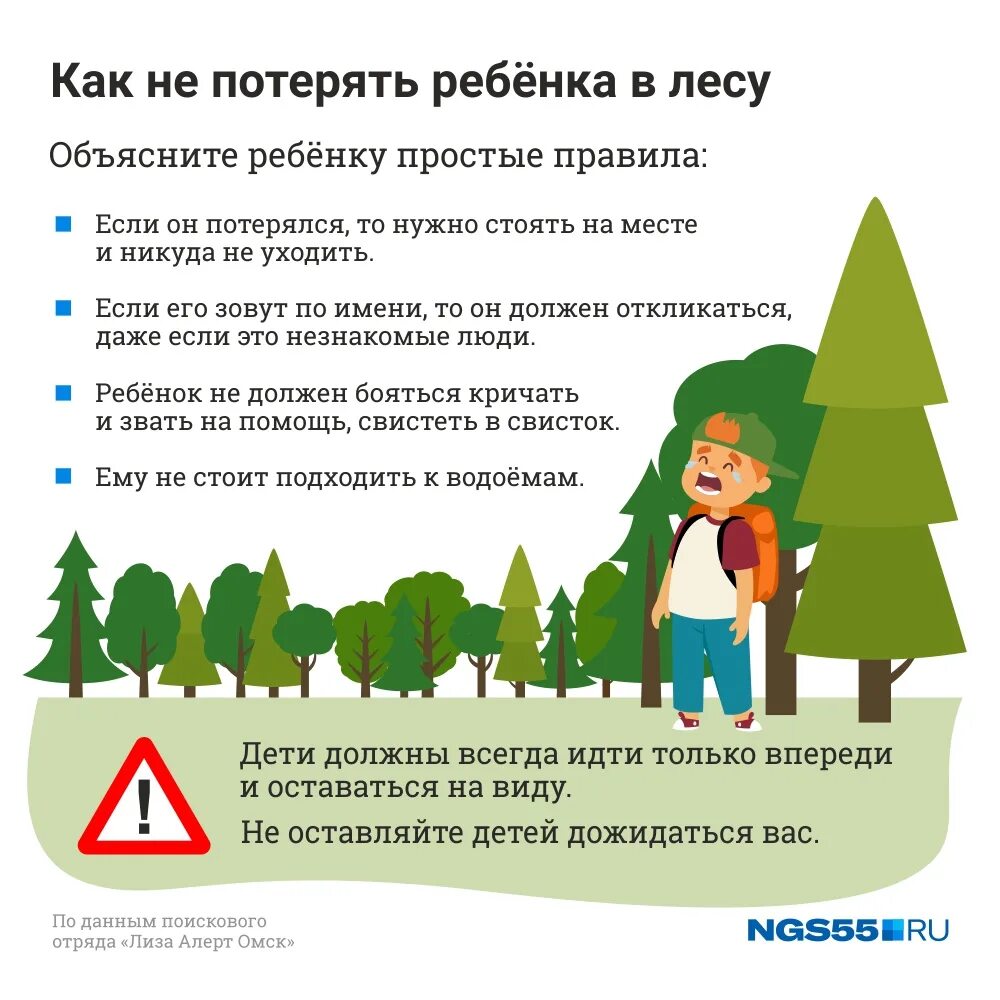 Когда можно идти в лес. Как не заблудиться в лесу памятка для детей. памятка заблудившемуся в лесу. памятка если заблудился в лесу. памятка для детей чтобы не заблудиться в лесу.