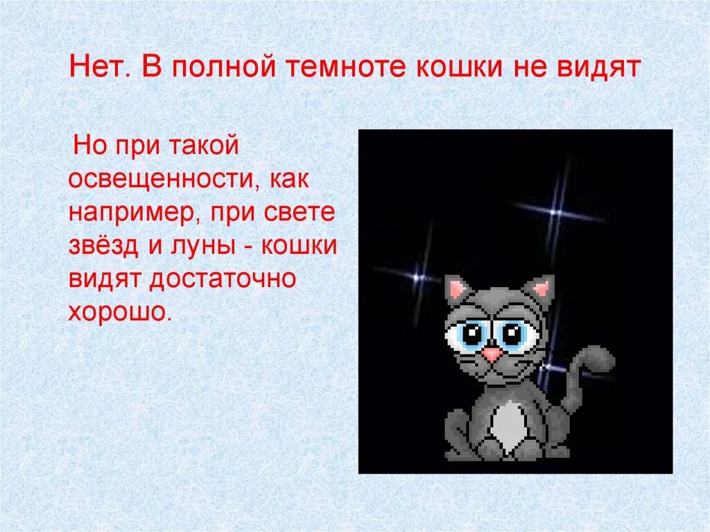Интересные факты о кошках и котах. Интересные факты о кошках. интересные кошки. кот интересные факты. кошки интересные факты о кошках.