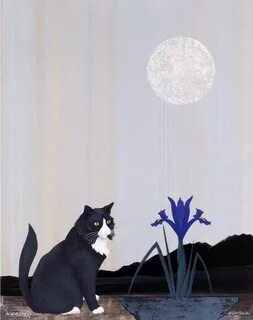 Черный кот дзен