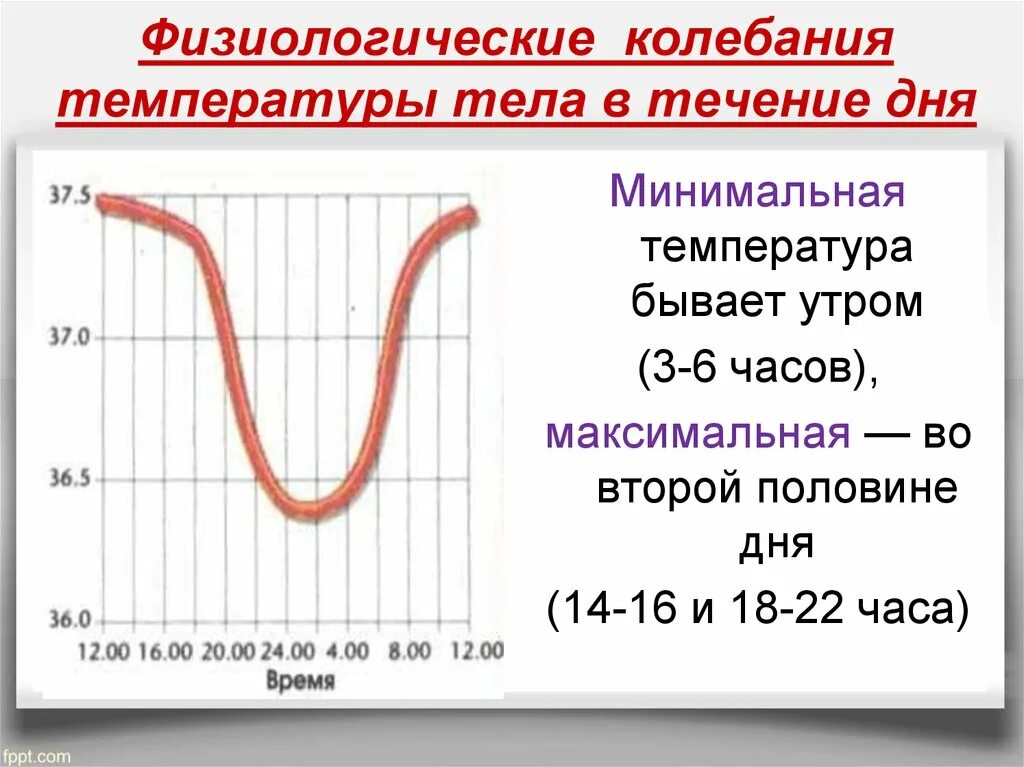 К вечеру 37.2 почему