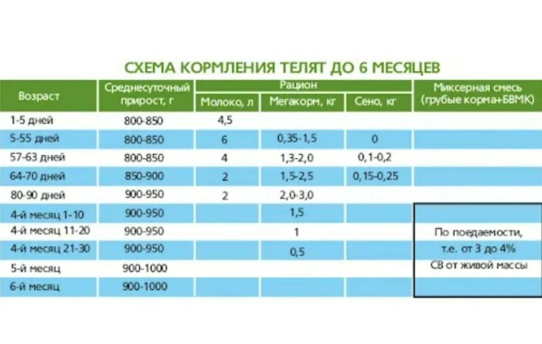 Раз в месяц. Схема кормления телят от 0 до 6 месяцев. Схема кормления телят до 6 мес возраста. Рацион телят до 6 месяцев. Телятам 1 месяц таблица кормления.