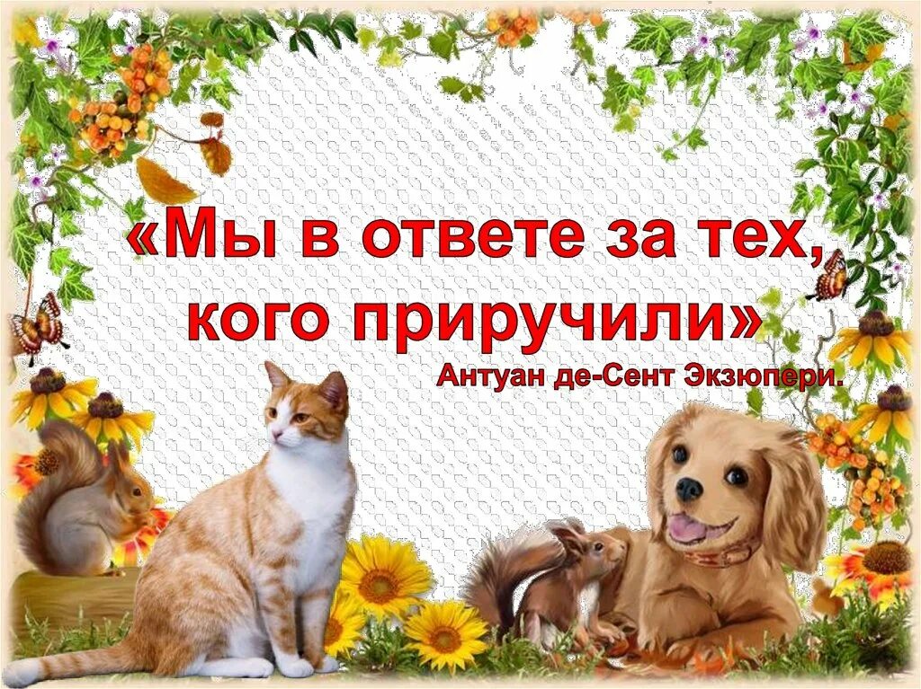 Братья наши меньшие презентация. Братья наши меньшие презентация. Рассказ о братьях наших меньших. О братьях наших меньших 3 класс презентация. О братьях наших меньших 3 класс презентация.