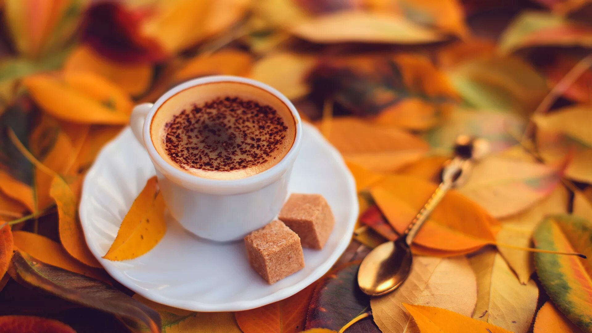 Осенний кофе. Осень кофе. Доброе утро осень. Осеннее утро и кофе.