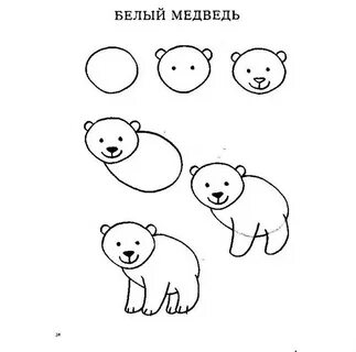Медведи схема 1 класс