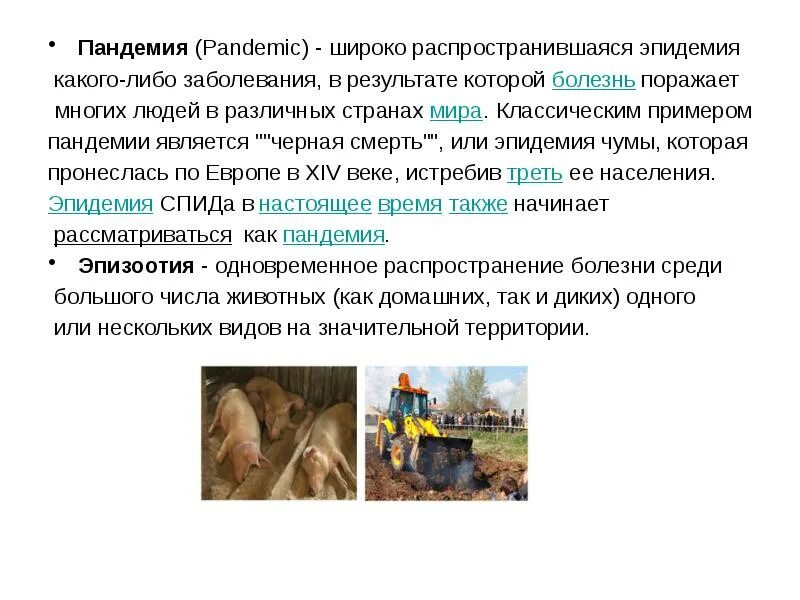 Массовая болезнь животных на определенной территории называется
