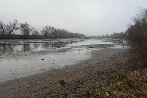 Вода в москве реке звенигород