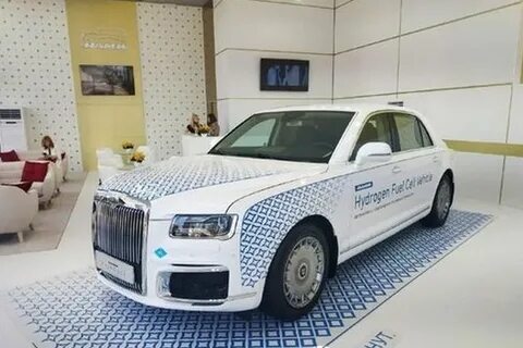 Аурус бимка