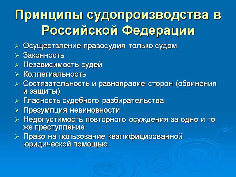 Назовите принципы судопроизводства