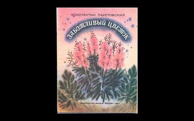 Цветы на паустовского. Заботливый цветок Паустовский. Паустовский заботливый цветок иллюстрации.