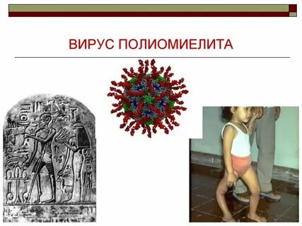 Полиомиелит микробиология