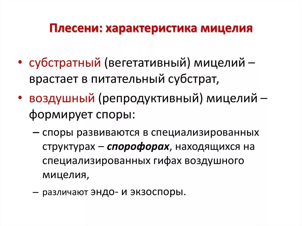 Мицелий обычно развивается в субстрате. Мицелий обычно развивается в субстрате