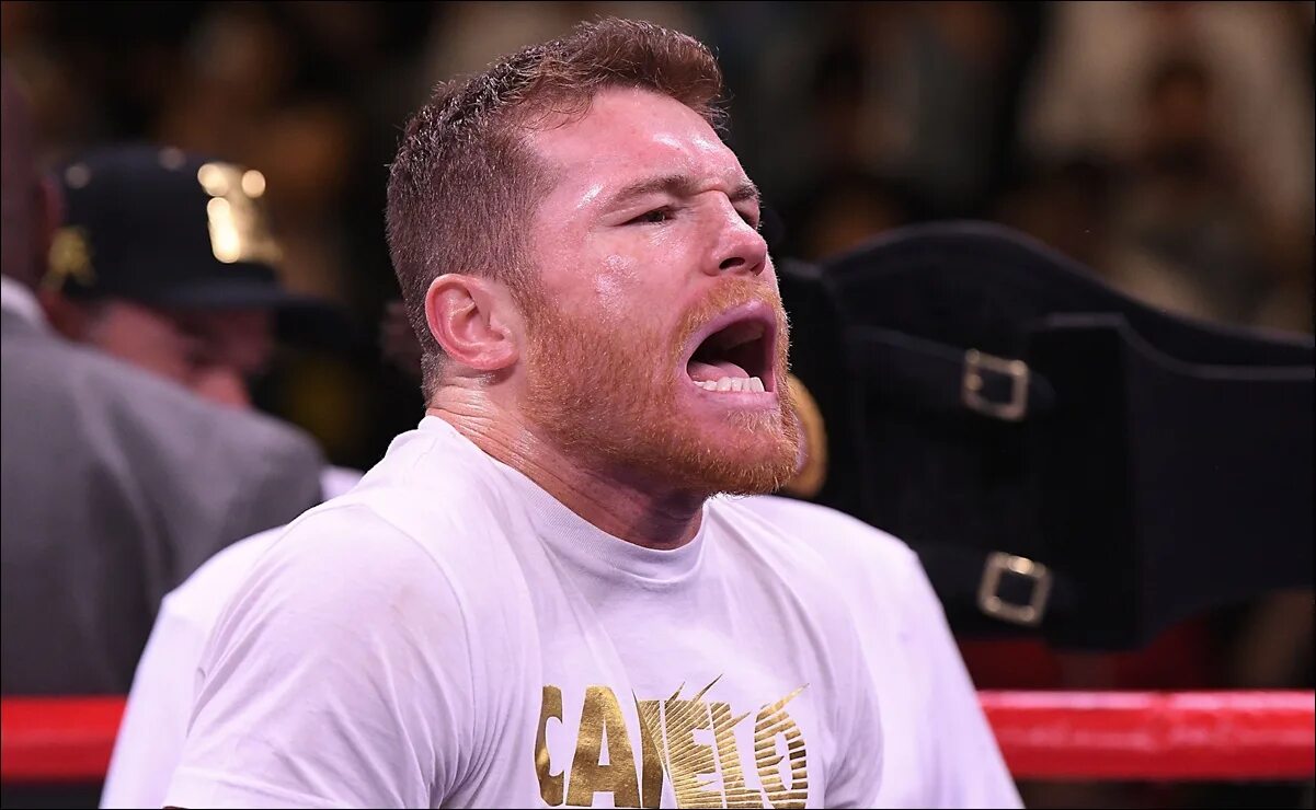 Канелое. Канелое. Сауль альварес. Canelo. Saul alvarez.