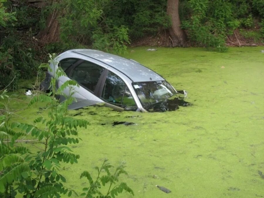 Автомобиль в болоте. Машина болт. Затонувшие автомобили в болоте. Утопленные машины. К чему снится машина в воде