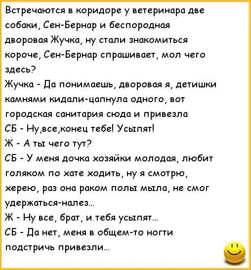 Шутки про ветеринаров. Смешной анекдот про ветеринара. Шутки про ветеринарных врачей. Три собаки у ветеринара анекдот. Анекдоты ветеринара