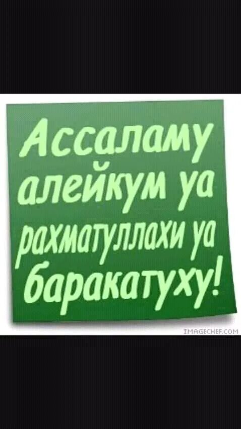 Салам алейкум ва рахматуллахи. Ас саляму алейкум уа рахматуллахи уа баракатух. уа алейкум салам. ассаламу алейкум ва рахматуллахи ва. ас салам алейкум ва рахматуллахи ва баракатуху.