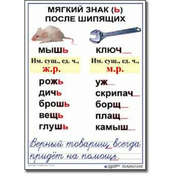 Слова на т с мягким знаком. Наглядные таблицы для начальной школы по русскому языку. Таблицы по русскому языку для начальной школы. Талицы по русскому языку для начальной школы. Наглядность по русскому языку для начальной школы.