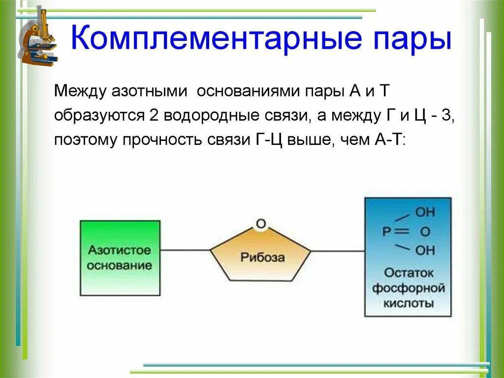 Водородные между азотистыми основаниями. Комплементарные пары. Пара комплементарных азотистых оснований. Комплементарные пары транзисторов. Комплиментарные пары схема.