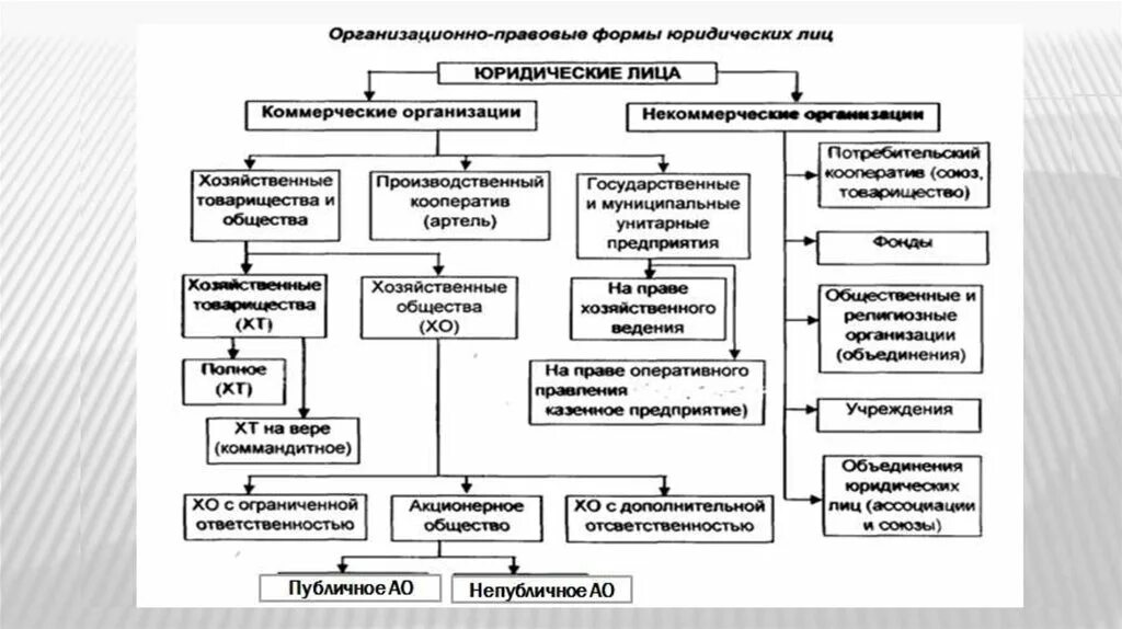 Классификатор организационно правовых форм ок 028 2012. Организационно-правовые формы юридических лиц. Организационно правовые формы юр лиц. Организационно-правовые формы коммерческих организаций. Организационно правовые формы коммерческих лиц.