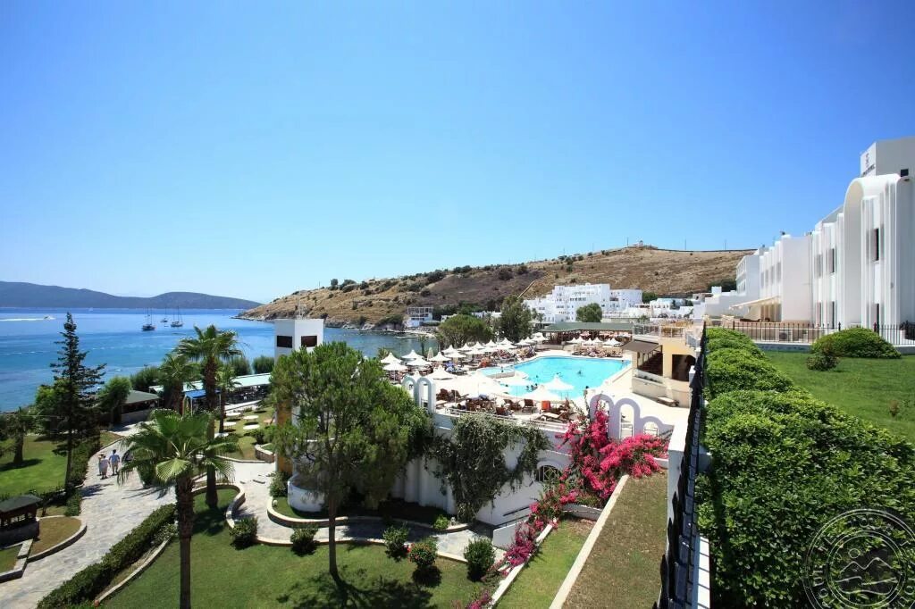 Петунья отель бодрум. Azka hotel bodrum. Azka hotel bodrum. Azka hotel. Azka hotel.