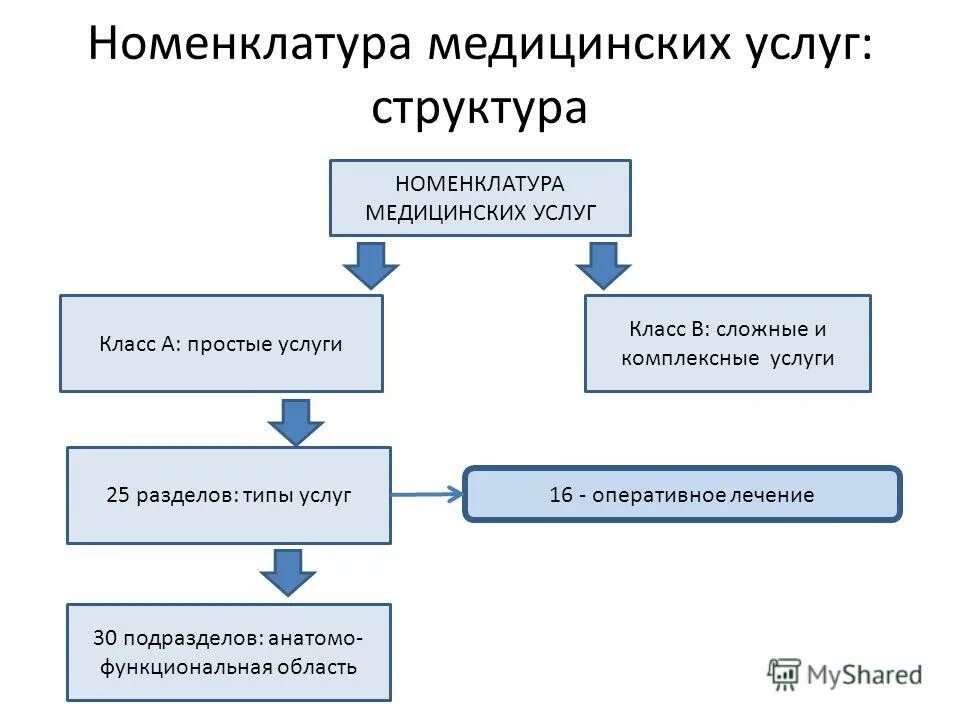 Проект номенклатуры медицинских услуг 2025 Проект номенклатуры медицинских услуг 2025