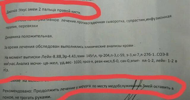 Укус змеи формулировка диагноза. Как написать диагноз при укусе собаки. Как правильно написать диагноз укус змеи.