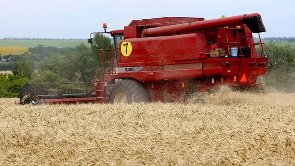 Зерновая компания белинский район. Агро белогорье белгород. Белгородская зерновая компания. Limagrain день поля. Зао краснояружская зерновая компания.