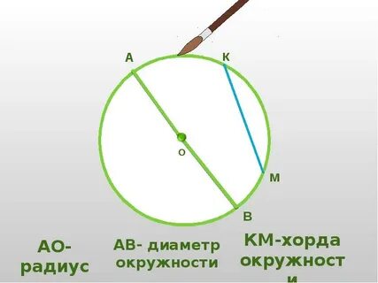 Постройте радиус диаметр хорду
