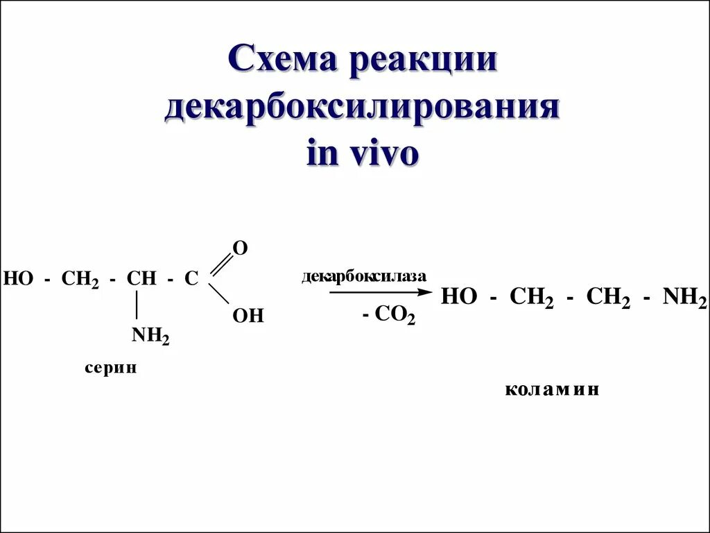 Напишите реакцию глицина. Декарбоксилирование Серина реакция. Декарбоксилирование это элиминирование. Реакции аминокислот in vivo декарбоксилирование. Общая схема декарбоксилирования аминокислот.