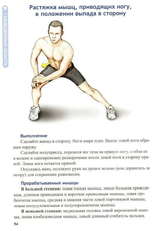 Растяжка приводящих мышц. Анатомия растяжки нельсон кокконен. растяжка приводящих мышц бедра. анатомия упражнений на растяжку. большая приводящая мышца растяжка.