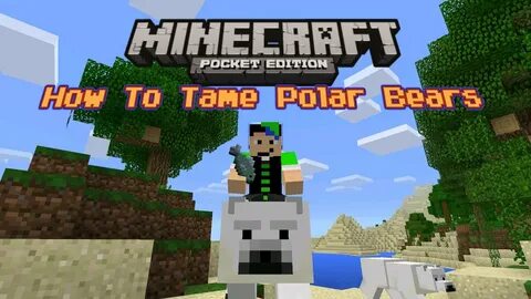 Bear minecraft