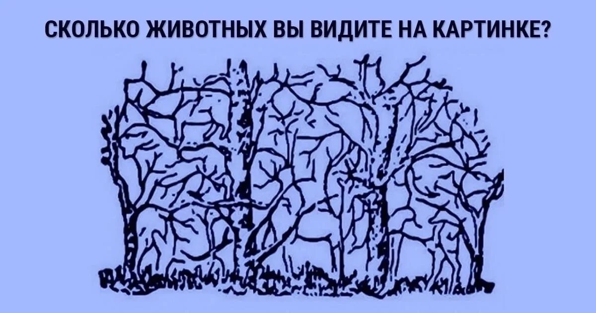 Тест альцгеймера сколько лиц на картинке. Сколько животных на картинке. Сколько живетный на картинке. Сколько животных видите на рисунке. Психологический тест на внимательность.