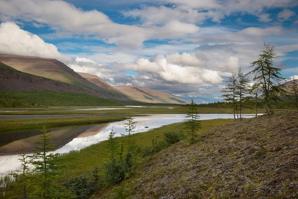 Сибирский лес сибирская тайга. Тайга алтайского края фото. Самый большой край в сибири. Плато путорана водопады. Тунгусский заповедник красноярского края.