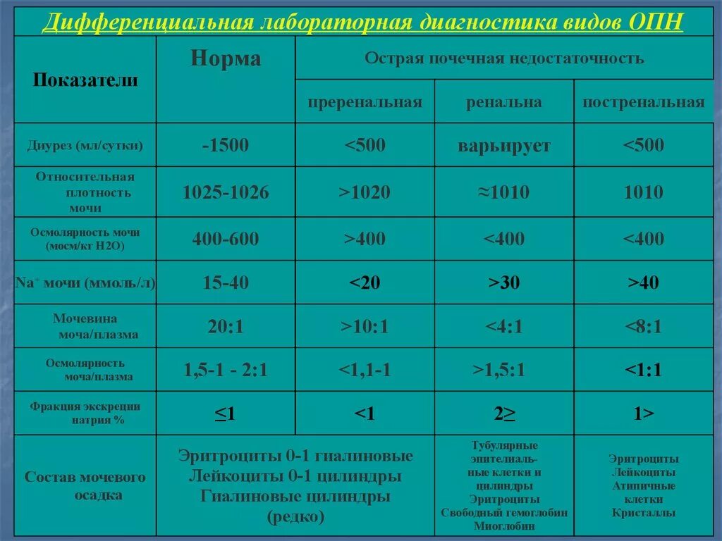 Сколько раз в сутки норма мочеиспускания. ОПН лабораторные показатели. ОПН лабораторная диагностика. Анализ крови при почечной недостаточности показатели. Лабораторные показатели при острой почечной недостаточности.