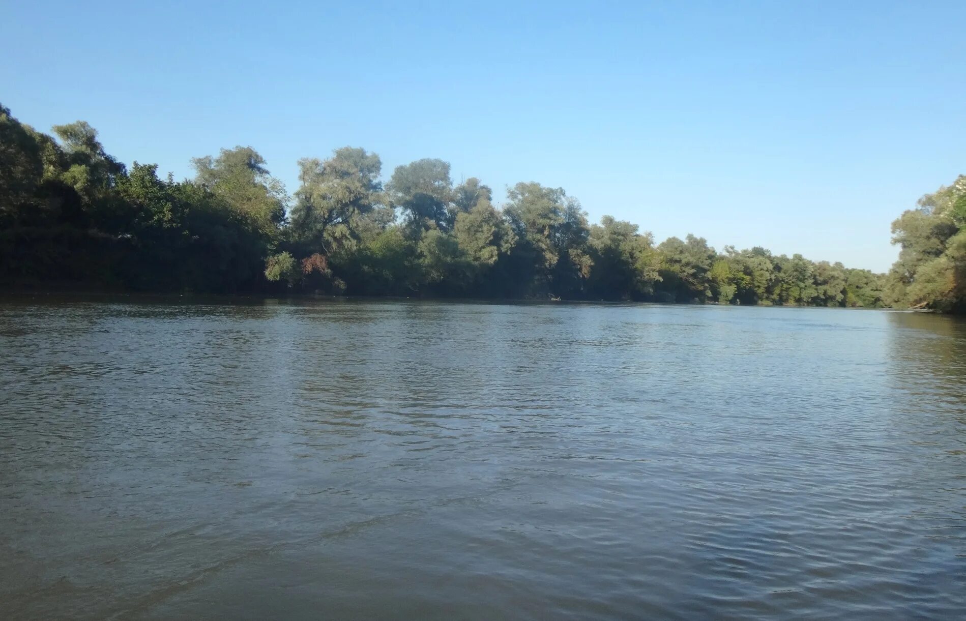 Кубань уровень воды в реке сегодня краснодар. Город Кропоткин река Кубань. Город Кропоткин река Кубань пляж. Река Кубань в 18 в. Август река.