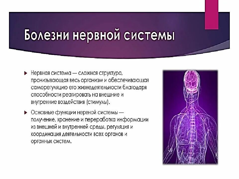 Методы изучения нервной системы. Исследование нервной системы. методы исследования нервной системы. методы исследования нервной системы человека. актуальность изучения нервной системы человека.