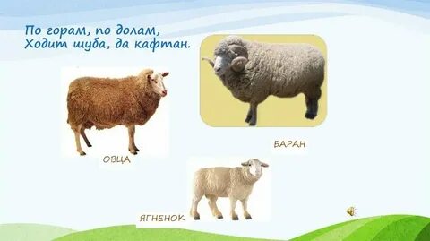 По горам по долам ходит шуба да
