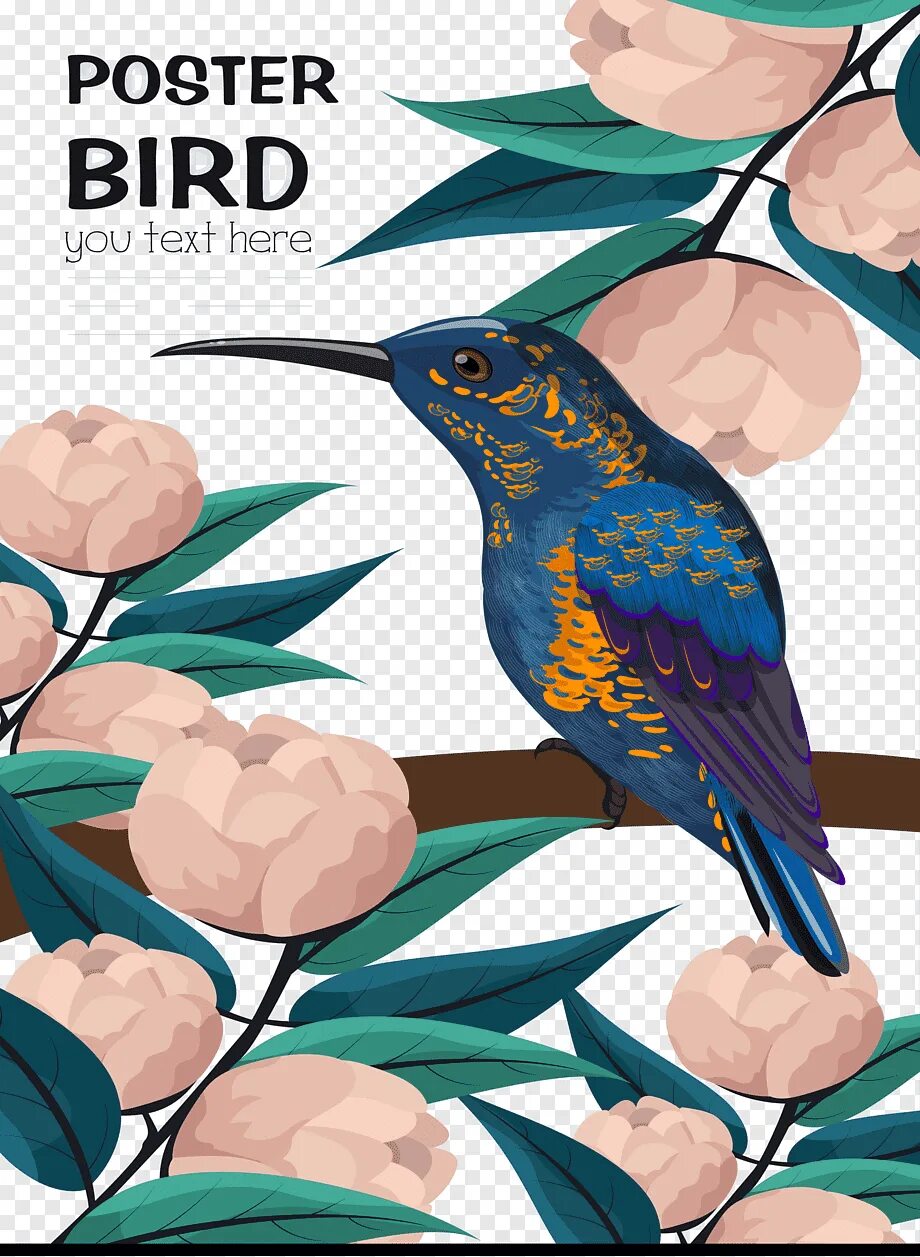 Birds плакат. Постеры птицы Графика. Цветы и птицы вектор.